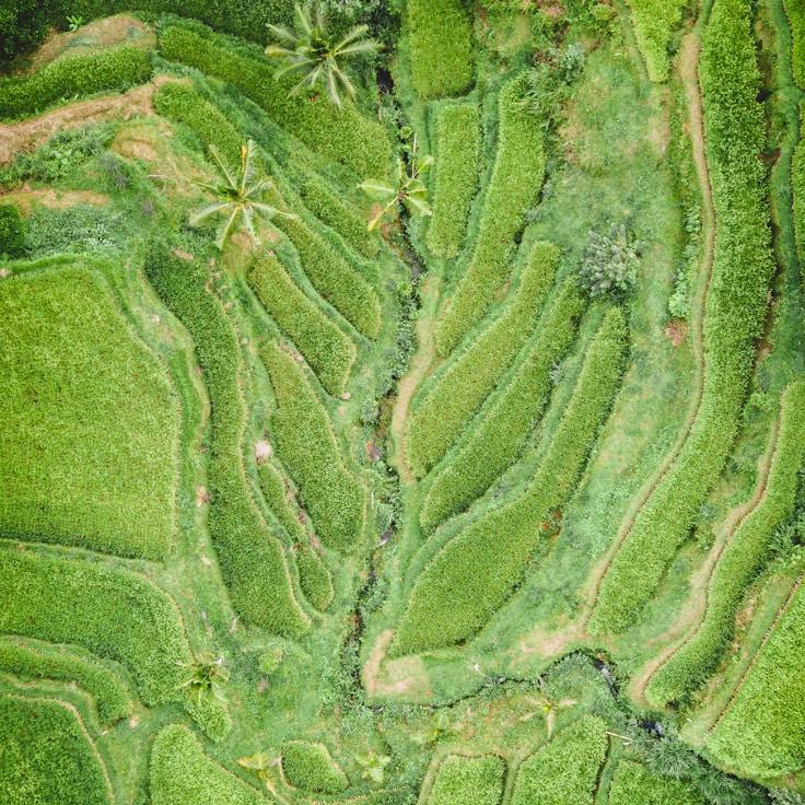 Outdoor terrace seating that's family-friendly in Madrid